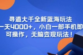 （15050期）寻道大千全新蓝海玩法，一天4000 ，小白一部手机即可操作，无脑变现玩法！