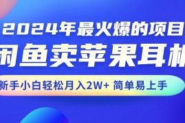 （10863期）2024年最火爆的项目，闲鱼卖苹果耳机，新手小白轻松月入2W 简单易上手