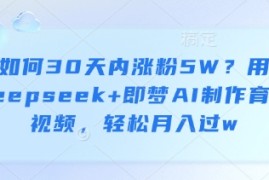 如何30天内涨粉5W？用deepseek 即梦AI制作育儿视频，轻松月入过w