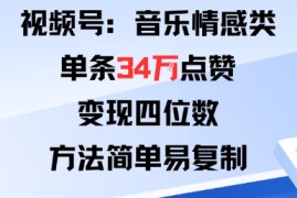 视频号分成计划新玩法：音乐情感类单条34W点赞，变现四位数，方法简单易复制