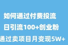 （10189期）如何通过付费投流日引流100 创业粉月变现5W 