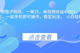 （16446期）抖音手游野路子玩法，一单25，单视频收益4000 ，日入几千轻轻松松，一…