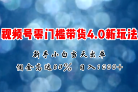 （11358期）微信视频号零门槛带货4.0新玩法，新手小白当天见收益，日入1000 