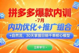 （15402期）拼多多爆款内训-7月 内功优化 推广组合 自然流 30天掌握日销千单核心模型