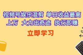 （10122期）视频号娱乐混剪 单日收益最高上万 大力出奇迹 执行即赚
