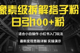 像素级拆解搭子粉，日引100 ，小白看完可上手，最新变现思路详解【揭秘】