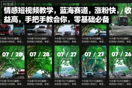 情感短视频教学，蓝海赛道，涨粉快，收益高，手把手教会你，零基础必备