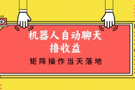 （12908期）机器人自动聊天撸收益，单机日入500 矩阵操作当天落地