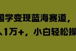 国学变现蓝海赛道，月入1W ，小白轻松操作【揭秘】
