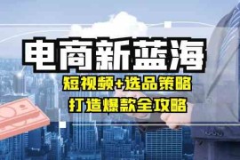 商家必看电商新蓝海：短视频 选品策略，打造爆款全攻略，月入10w 