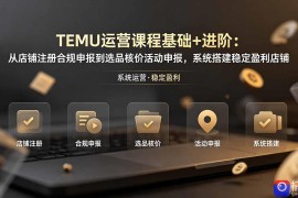 TEMU运营课程(基础 进阶