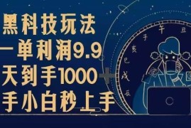 （13313期）黑科技玩法，一单利润9.9,一天到手1000 ，新手小白秒上手
