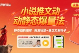 8月小说推文全新玩法，动静态图片 搭配小说文案爆量玩法