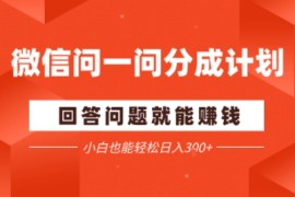 微信问一问分成项目，回答问题就能賺钱，小白也能轻松日入2张