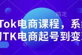 TikTok电商课程，系统学习TK电商起号到变现