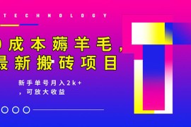 0 成本薅羊毛，携程旅游搬砖，新手单号月入 2K，可放大收益