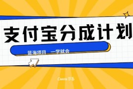 最新支付宝分成计划，蓝海项目，独家顶级玩法无脑自动剪辑，小白也能轻松月入2w＋