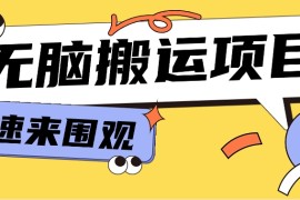 小红书虚拟项目，无脑搬运，零成本零门槛轻松月入3000 【视频教程 配套工具】