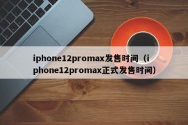 iphone12promax发售时间（iphone12promax正式发售时间）