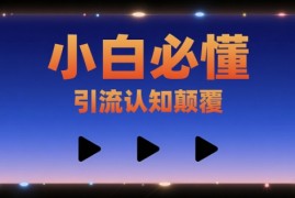 小白必懂，引流认知颠覆，三个视频讲透