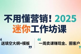 不用懂营销！2025 迷你工作坊课：送填空大纲   模板，一周卖课赚现金、圈客户