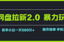 网盘拉新2.0暴力玩法，新手小白一天轻松5张，操作简单