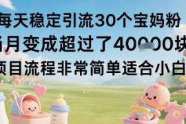 每天稳定引流30个宝妈粉当月变成超过了1W 项目流程非常简单适合小白