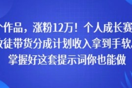 71个作品，涨粉12W！个人成长赛道，收徒带货分成计划收入拿到手软，掌握好这套提示词你也能做