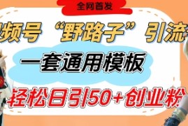 视频号“野路子”玩法，评论区疯狂截流，一套模板单日单号引流50 创业粉