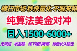 2026美金掘金新风口-纯算法对冲震撼上线！日入1500-6000 ，长久合规稳健，轻松摆脱死工资