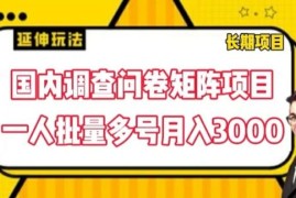 国内调查问卷矩阵项目，一人批量多号月入3000【揭秘】