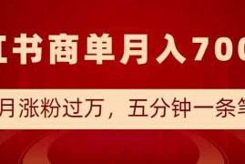 小红书商单最新玩法，半个月涨粉过万，五分钟一条笔记，月入7000 
