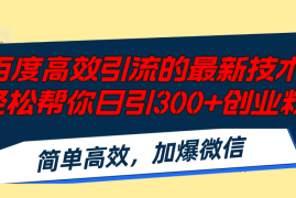 （12064期）百度高效引流的最新技术,轻松帮你日引300 创业粉,简单高效，加爆微信
