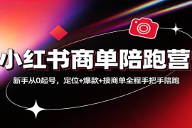 小红书商单陪跑营：新手从0起号，定位 爆款 接商单全程手把手陪跑