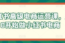 小红书高级电商运营课，从0开始做小红书电商
