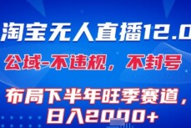 淘宝无人直播12.0，不封号，不违规，布局下半年旺季赛道，日入1k (独家技术)【揭秘】