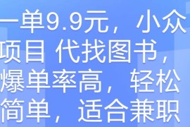 一单9.9元，小众项目 代找图书，爆单率高，轻松简单，适合兼职