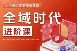 全域时代进阶课，更简单高效的全域投放实操，让电商运营更简单高效(更新)
