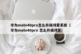 华为mate40pro怎么升级鸿蒙系统（华为mate40pro 怎么升级鸿蒙）