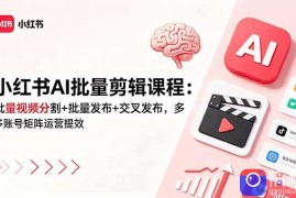 小红书AI批量剪辑课程：批量视频分割 批量发布 交叉发布，多账号矩阵运营提效