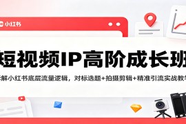 短视频IP高阶成长班：拆解小红书底层流量逻辑，对标选题 拍摄剪辑  精准引流实战教学