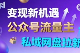 公众号流量主 私域网盘拉新，多方式变现，简单易上手，当天就有收益