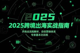 （15503期）2025跨境出海实战指南，并购全流程解析，自创营销体系，专家基本功训练