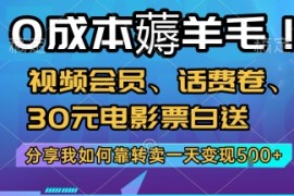 0成本薅羊毛!视频会员、话费卷、30元电影票白送，分享我如何靠转卖一天变现5张 【揭秘】
