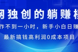 （11307期）每天操作不到一小时，新手小白日赚1500 ，最新搞钱高利润0成本项目