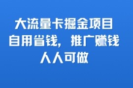 大流量卡掘金项目，自用省钱，推广挣钱，人人可做
