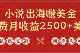 小说出海赚美金，稿费月收益2500 美金，仅需chatgpt粘贴复制，新手也能玩转【揭秘】