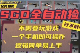 CSGO自动捡漏项目，最新独家玩法，一个手机即可操作。新手小白轻松月入1W 