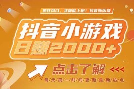 （15030期）2025最新风口项目，抖音小游戏，亲测单游戏2000 感兴趣点击了解