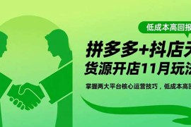 拼多多 抖店无货源开店11月玩法：掌握两大平台核心运营技巧，低成本高回报